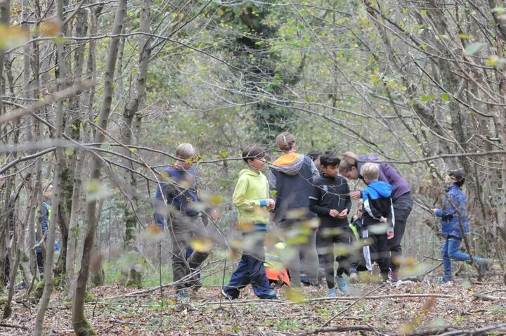 Un groupe d'enfants et une adulte observent le sol en forêt, accroupis dans les feuilles.